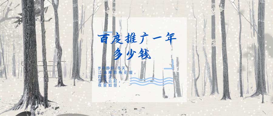 推广一年多少钱